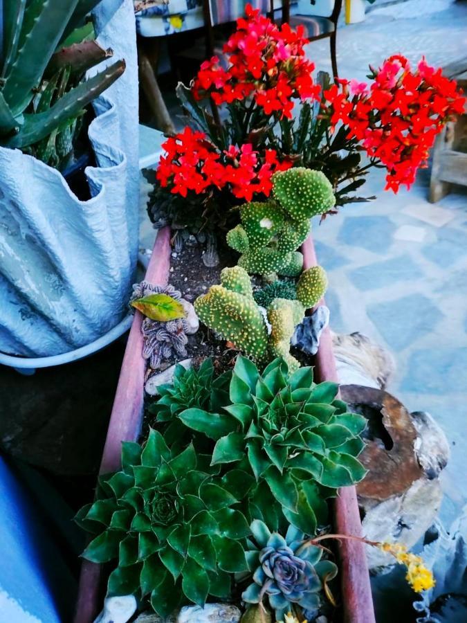 Adam'S Holiday House 2019 Karianí Esterno foto
