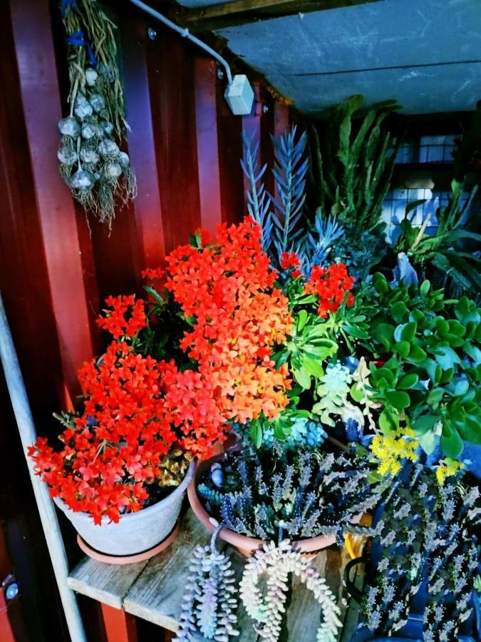 Adam'S Holiday House 2019 Karianí Esterno foto